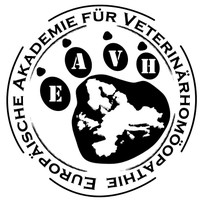 EAVH Logo