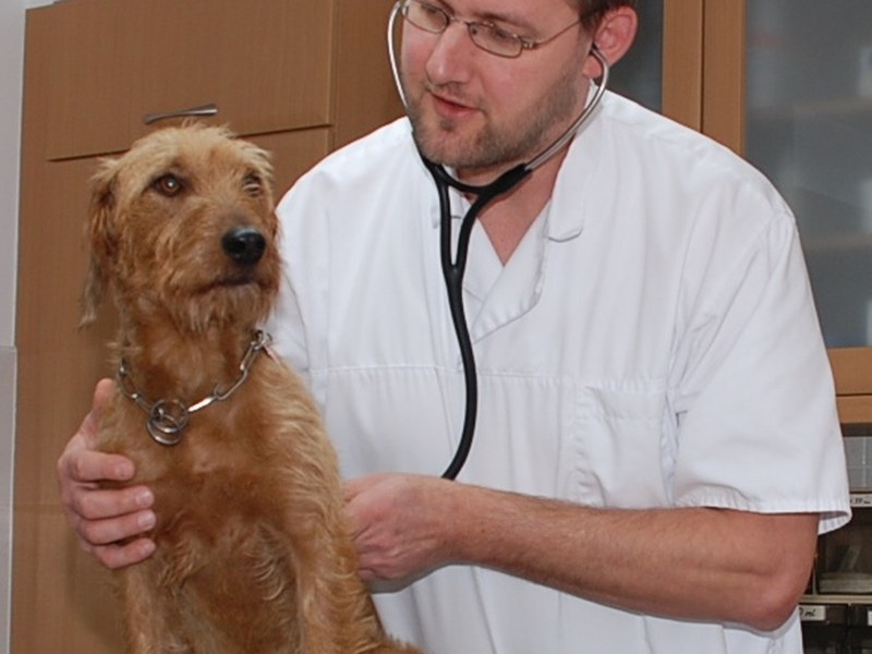 Allgemeine Innere Medizin