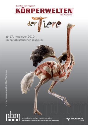 KW_TIERE_POSTER_286x405.jpg