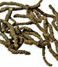 Ipecacuanha (Ip.)