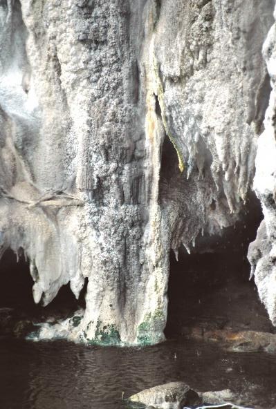 Natrium muriaticum (Nat-m.)