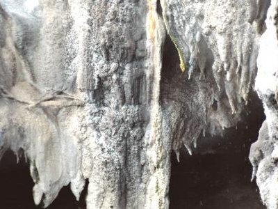 Natrium muriaticum (Nat-m.) Natrium muriaticum (Nat-m.)