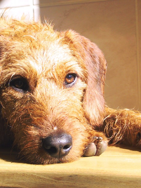 Praxis Klosterneuburg vom 11.-18. Februar geschlossen