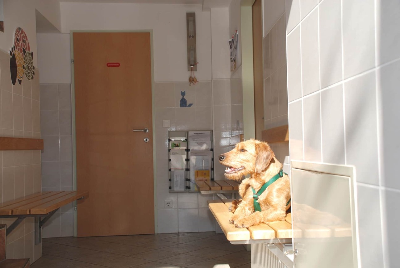 Sauberkeit und Hygiene